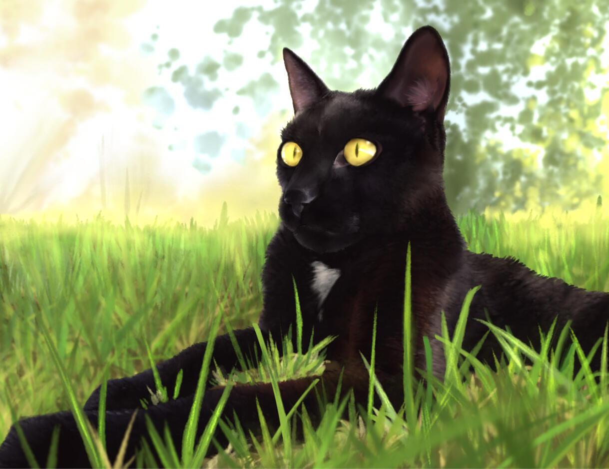 gouache on watercolour paper